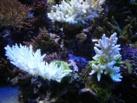 failedsystem 004.jpg