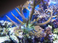 failedsystem 006.jpg