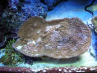 failedsystem 007.jpg