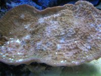 failedsystem 008.jpg