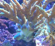 failedsystem 011.jpg