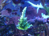 failedsystem 012.jpg