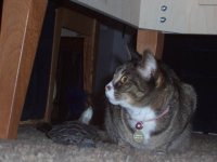 dave and muffin 1.jpg