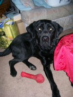 Mixed Pics 010.jpg
