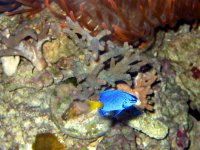 IMG_0641.jpg