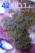 DSC_2046.jpg