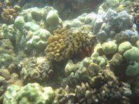 IMG_0015.jpg