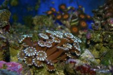 Fun PICS 003.jpg