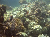 IMG_0016.jpg