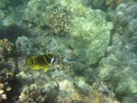 IMG_0025.jpg