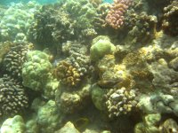 IMG_0029.jpg