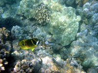 IMG_0025.jpg