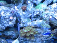 IMG_0018.jpg IMG_0018.jpg