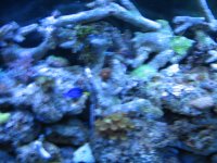 IMG_0019.jpg IMG_0019.jpg