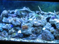 IMG_0043.jpg IMG_0043.jpg