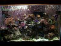 fishtank.jpg