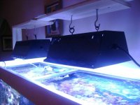 leo's tank for sale2 017.jpg