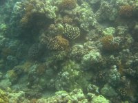 IMG_0050.jpg