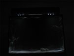 white moonlight.jpg