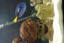 Rock3.jpg
