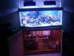 leo's tank for sale 016.jpg