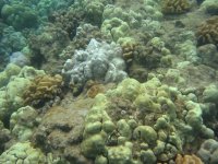 IMG_0051.jpg