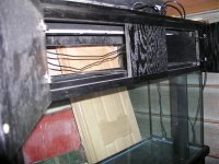 P1010035.jpg