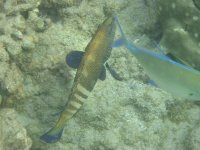 IMG_0057.jpg