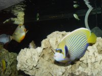 DSC07772.jpg