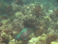 IMG_0080.jpg