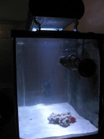 Tank Profile Right.jpg