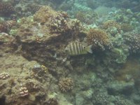 IMG_0106.jpg