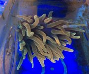 IMG_5153.jpg