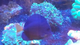 20170918_120059.jpg