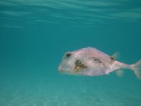 IMG_0218.jpg