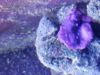 20190312_203327.jpg
