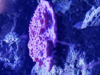 20190305_213546.jpg