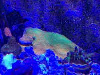 IMG_4691.jpg