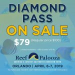 diamond pass social media1x1 ONSALE.jpg