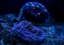 05A4DF29-545C-457A-8015-D4B5E9BA0B05.jpg