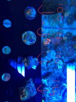62B07EE2-8DBF-4F8A-B765-512613A58FC4.jpg