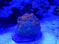 20190111_230531.jpg