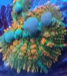 13B5E299-E764-4D18-BC1F-D83E4449455C.jpeg