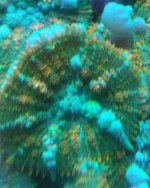 21448E09-B240-4603-AA3B-981122202130.jpeg