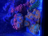 AEF0CE48-81E0-4F97-9B0E-D8B2D8CAC457.jpg