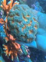 IMG_4286.jpg