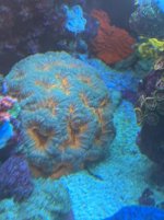 IMG_4285.jpg