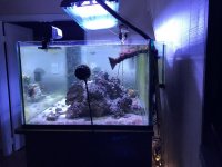 AquariumSide.jpg