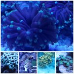 CollageMaker_20190813_102139246.jpg