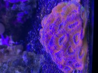 148777DB-AF99-43EF-83CA-9F2A36C414A8.jpg